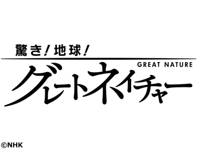 驚き!地球!グレートネイチャー　多彩!海と陸のタワーカルスト　〜ベトナム〜