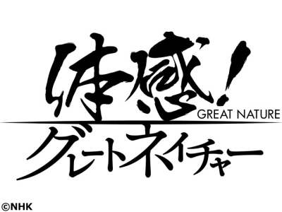 体感!グレートネイチャー　大凍結!カナダ・寒暖の奇観