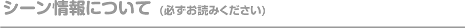 シーン情報について